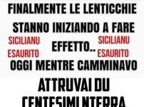 FB_IMG_1672595350436.jpg