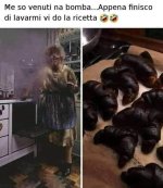 FB_IMG_1672760675196.jpg