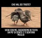 1672951078624.png
