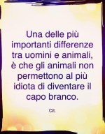 1673017791319.png