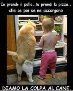 FB_IMG_1673108007530.jpg