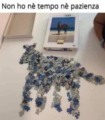 FB_IMG_1673202625445.jpg