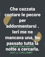 FB_IMG_1673201016424.jpg