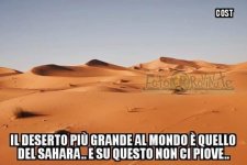 FB_IMG_1673200232605.jpg