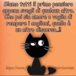 FB_IMG_1673266232607.jpg
