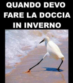 1673359721221.png