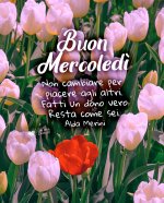 buon-mercoledi-con-frase-resta-come-sei.jpg