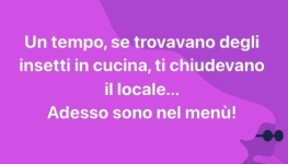 1673448438885.png