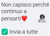 FB_IMG_1673434560126.jpg