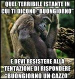 FB_IMG_1673434519655.jpg