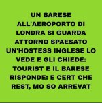 FB_IMG_1673340277721.jpg