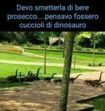 FB_IMG_1673534171526.jpg