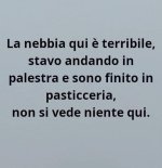 FB_IMG_1673775463189.jpg