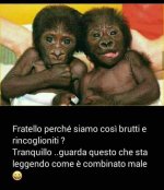 FB_IMG_1673807209311.jpg