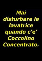 FB_IMG_1673806501115.jpg