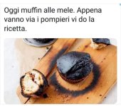 FB_IMG_1673794870160.jpg