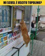 FB_IMG_1673794842643.jpg