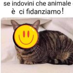 FB_IMG_1673951813110.jpg