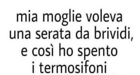 FB_IMG_1673865002797.jpg
