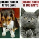 FB_IMG_1674056087129.jpg