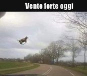 FB_IMG_1674021637099.jpg