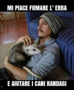 1674072323469.png