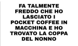 FB_IMG_1674145322441.jpg