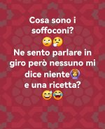 FB_IMG_1674225656735.jpg