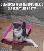 1674323104885.png