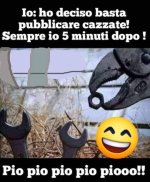 FB_IMG_1674296095084.jpg