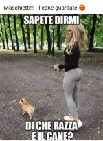 FB_IMG_1674225456702.jpg