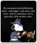 FB_IMG_1674407125773.jpg
