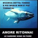 FB_IMG_1674405549600.jpg