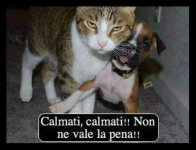 FB_IMG_1674389340371.jpg