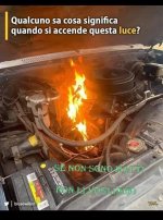 FB_IMG_1674381607740.jpg
