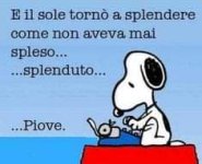 FB_IMG_1674476419971.jpg
