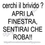 FB_IMG_1674452855225.jpg