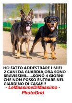 FB_IMG_1674566950266.jpg