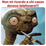 FB_IMG_1674641956115.jpg