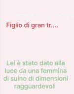 FB_IMG_1674639484082.jpg