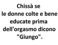 FB_IMG_1674755175819.jpg
