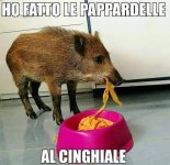 FB_IMG_1674755136750.jpg
