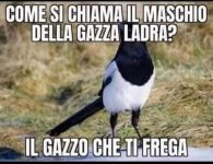 FB_IMG_1674748235412.jpg