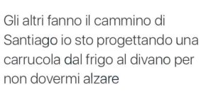 FB_IMG_1674904149418.jpg