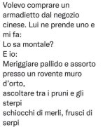 FB_IMG_1674985755146.jpg