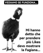 FB_IMG_1674212400335.jpg