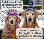 FB_IMG_1674207537103.jpg