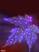 The Fatal Gift of Beauty.gif