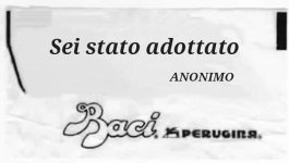 FB_IMG_1675093596806.jpg
