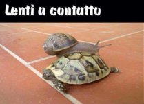 FB_IMG_1675084462077.jpg